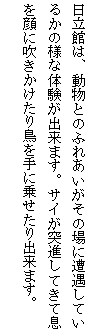 eLXg {bNX: ق́AƂ̂ӂꂠ̏ɑĂ邩̗lȑ̌o܂BTCːiĂđɐ蒹ɏ悹o܂B
