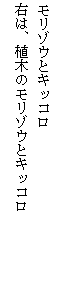 eLXg {bNX: ]EƃLbR
ÉAA؂̃]EƃLbR
