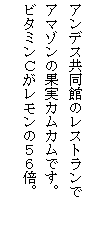 eLXg {bNX: AfXق̃Xg
A}]̉ʎJJłB
r^~b̂TU{B
