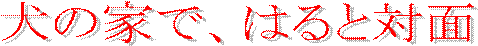 ̉ƂŁA͂ƑΖ