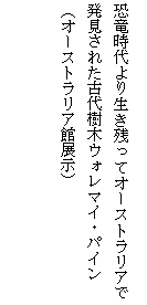 eLXg {bNX: 萶căI[XgAŔꂽÑ؃EH}CEpC@@
iI[XgAٓWj
